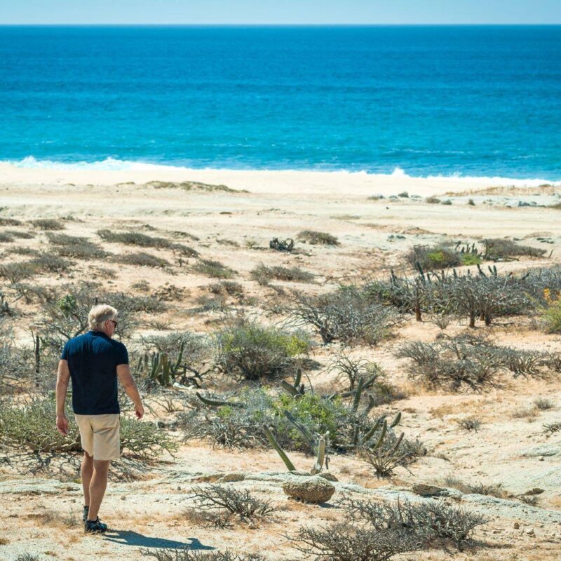 Greg Norman Grupo Vidanta East Cape