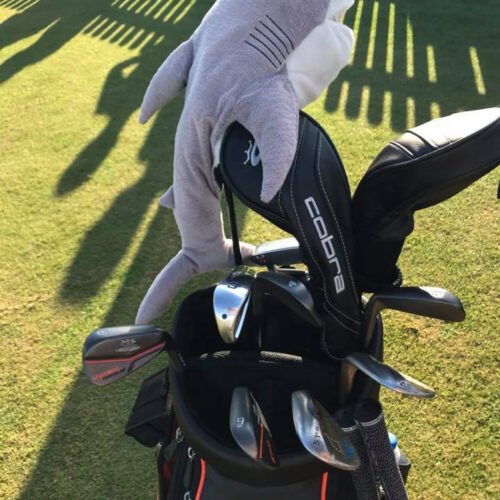 2017 PNC Father/Son Challenge