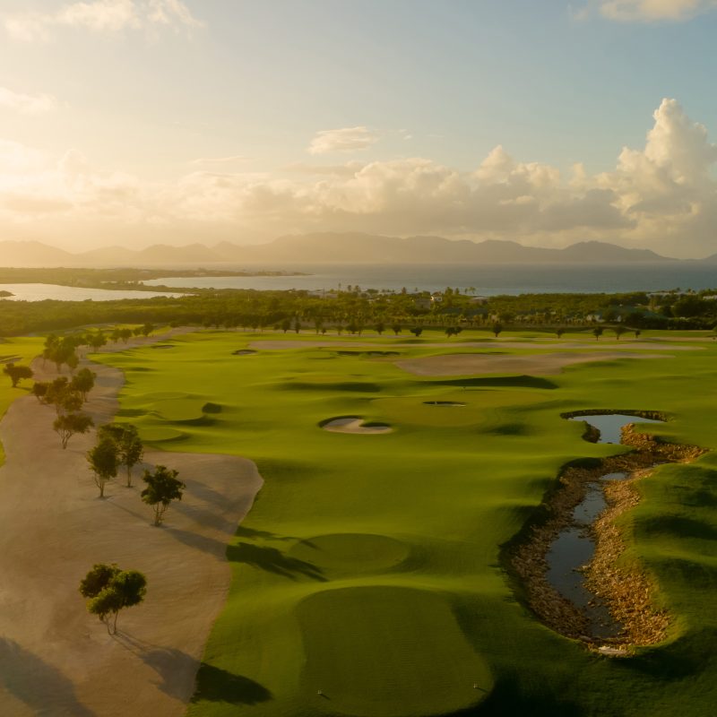 Aurora International