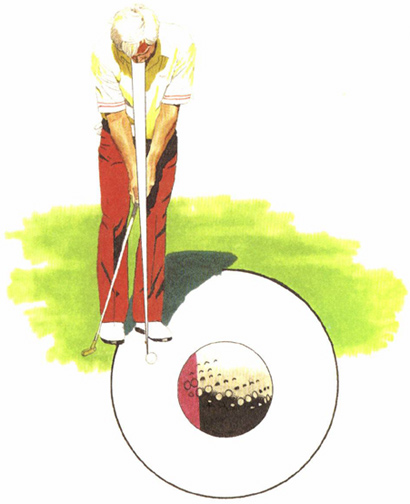 Keep Your Eye on the Back