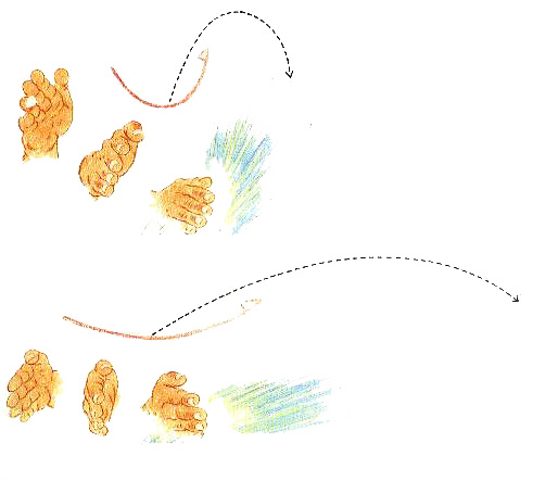 It‘s Just a Splash