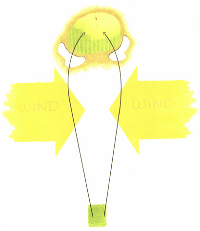 Don‘t Fight Crosswinds