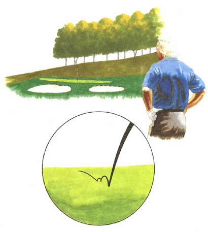 Read Greens from Afar