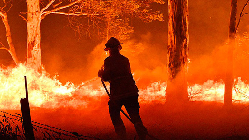 Greg Norman Partners with American Australian Association to Launch Bushfire Relief Fund