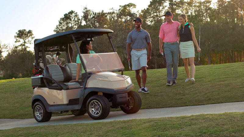 Shark Experience / GN Media